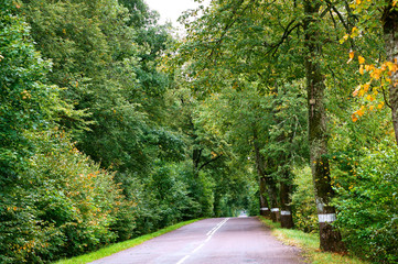 Fototapeta premium Long asphalt road. Stretching road to travel.