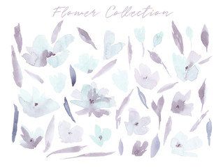 Watercolor flower set.