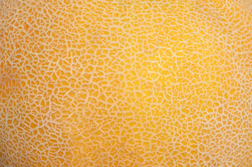 Melon skin close up pattern.