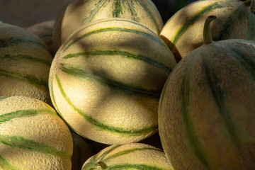 Melons from Cavaillon, ripe round charentais honey cantaloupe melons on local market in Provence,...