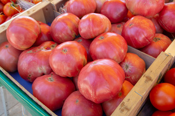 Vegetables of South France, farmers organic ripe tomatoes in assortment on local market in Provence