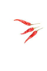 dried thai chili peppers isolated on a white background with copyspace