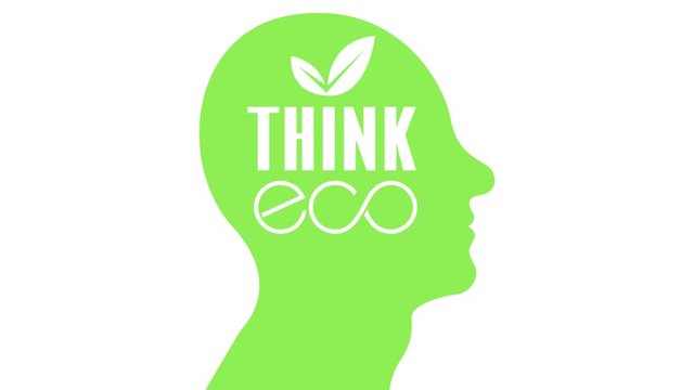 Think eco 4K video 