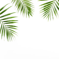 Fototapeta na wymiar Tropical green palm leaves on white background. flat lay, top view
