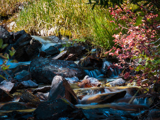 A creek with fall color