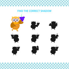 Find the correct shadow kids educational game. Cartoon owl with bunch of grapes