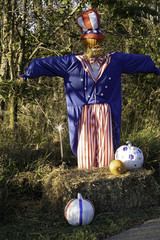 scarecrow in field with pumpkins