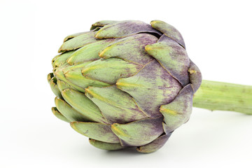 fresh globe artichoke isolated on white background with copy space