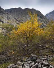 Mountain landscape, autumn camMountain landscape, autumn came to the mountains.e to the foothills.