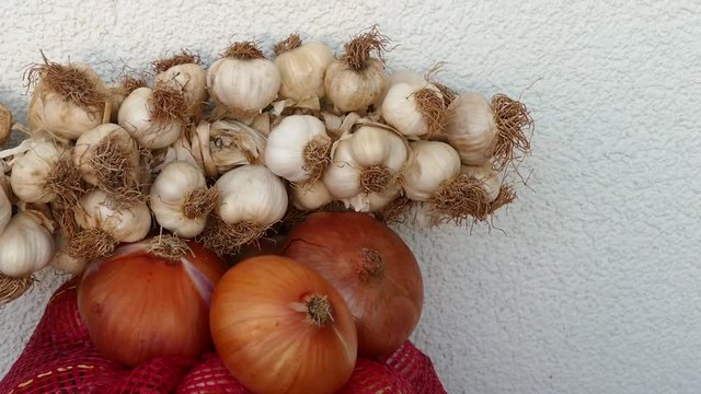 natural garlic and onion in large quantities, in sack.


