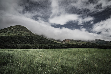 草原と山
