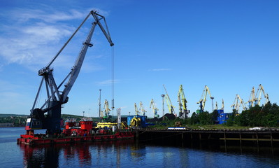 cranes in the port
