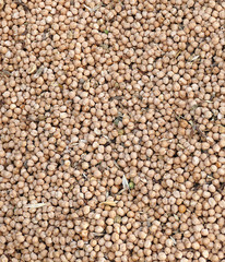 close-up, lots of edible dry chickpeas,dry chickpeas for health, protein source chickpeas,


