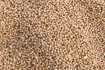 close-up, lots of edible dry chickpeas,dry chickpeas for health, protein source chickpeas,



