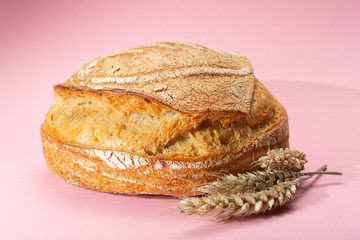 Sourdough homemade round white wheat bread close up