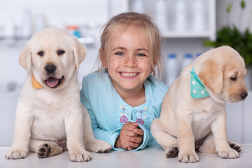 Cute girl with her adorable labrador puppy dogs at the veterinary