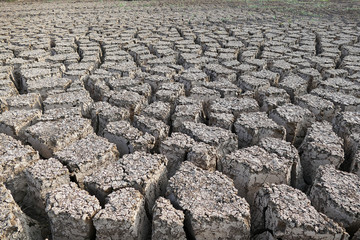 drought and deeply broken soils,global warming and drought,land cleaved from thirst,

