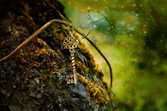 vintage golden key in mystery forest, natural green summer background. magical beautiful key, symbol of secret garden. secrecy, mystique concept