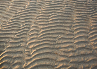 beach ripples form are made from thecircular water movement pattern of water molecules.