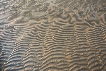 sand ripples are made on the beach