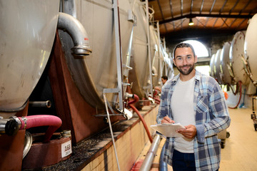 Fototapeta premium handsome man winemaker in a winery wine cellar during harvest season with stainless steel vats in background