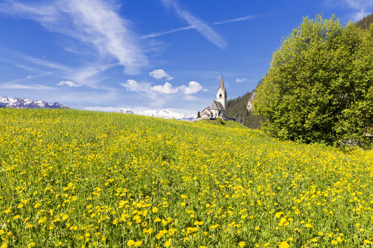 Summer flowers and traditional church of Davos Wiesen, Parc Ela, Prettigau/Davos, Graubunden
