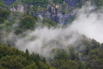 Réserve naturelle de Sixt Fer A cheval