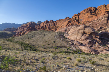 View of rock formations and flora in Red Rock Canyon National Recreation Area, Las Vegas, Nevada