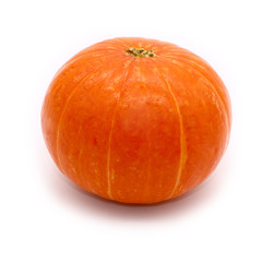 pumpkin close-up in square format, isolated