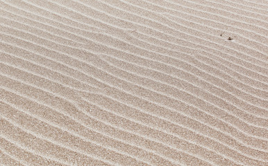 Fototapeta na wymiar Sand background texture.
