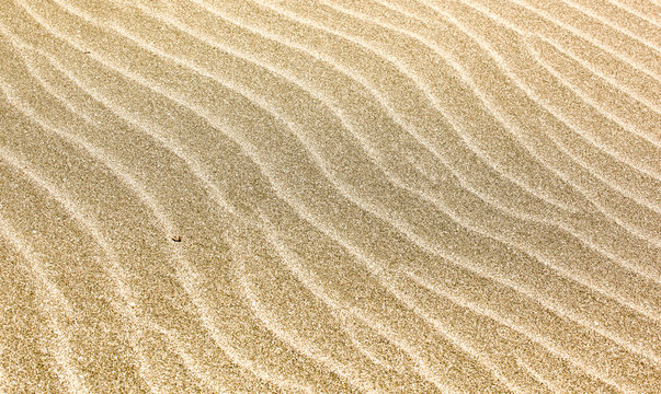 Sand background texture.