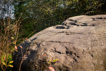 A huge boulder of glacial origin in the forest. The village of Malomakhovo, Borovsky district, Kaluzhskiy region, Russia