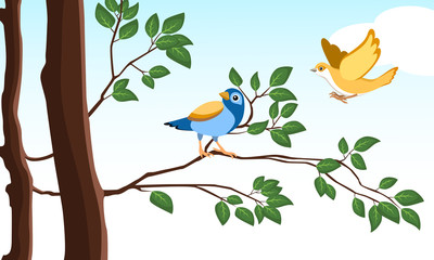Birds on tree