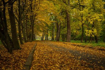 Naklejka premium Autumn in the city park. The city of Khmelnitsky