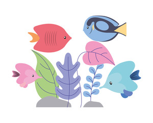 fishes with plants foliage wild scene