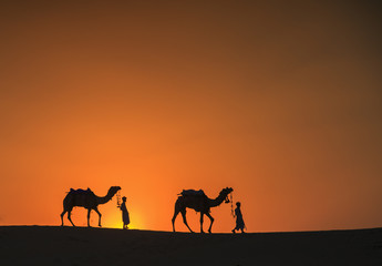 Fototapeta na wymiar Silhouette of two friend walking their camels home