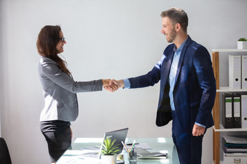 Businesswoman Shaking Hands With Her Partner