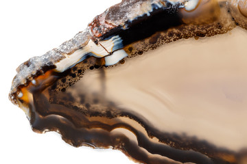 Macro mineral stone Yellow, brown Agate breed a white background