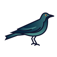 Crow gradient illustration