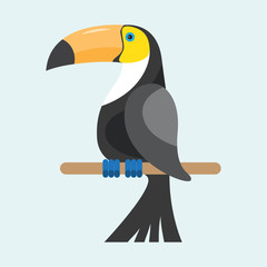 Toucan sitting on branch © StockVector