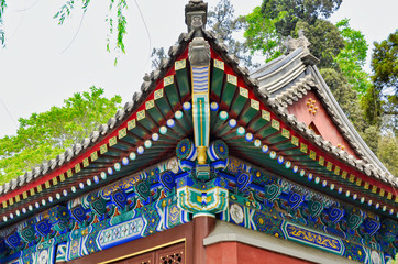 Fototapeta premium Chinese garden park
