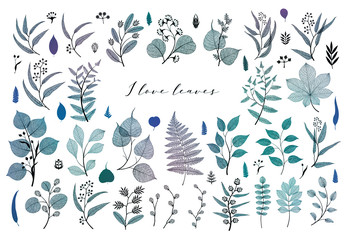 Branches and leaves, fall, spring, summer. Vintage botanical illustration,  floral elements in blue color design