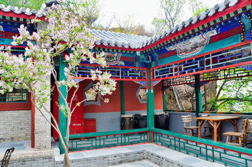 Obraz premium Chinese garden park