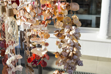 Big seashell collection in the street shop