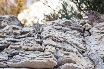 Stone background texture. Background wall made of stone.
