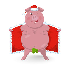 A funny naked boar in santa's clothes. New Year`s vector illustration.