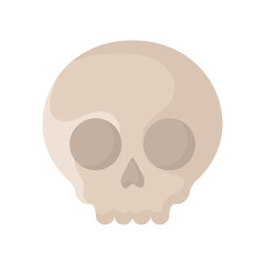 skull icon image