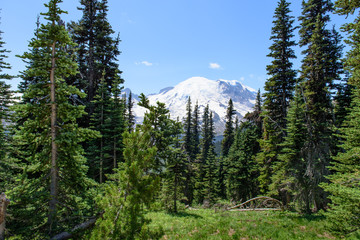 View of Mount Rainier