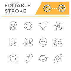 Set line icons of human organs