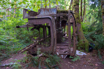 Old bus in the forest